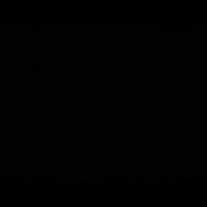 Meet your Posher, Dylan